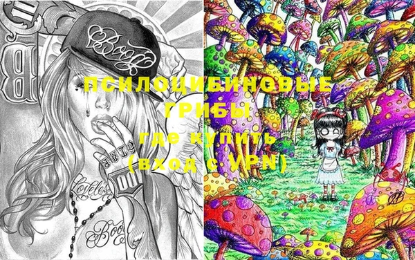 первитин Гусь-Хрустальный