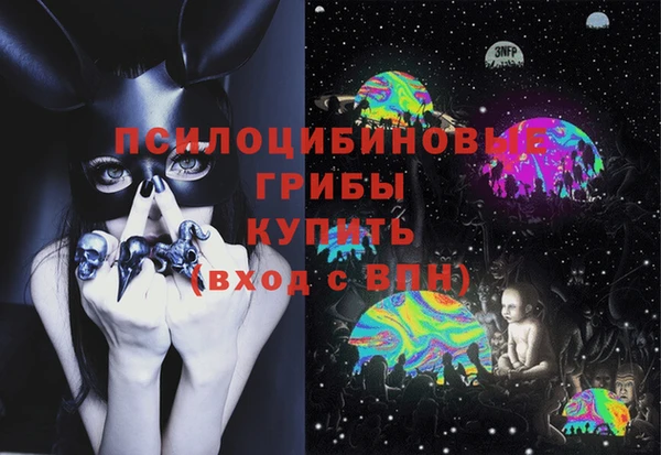 первитин Гусев