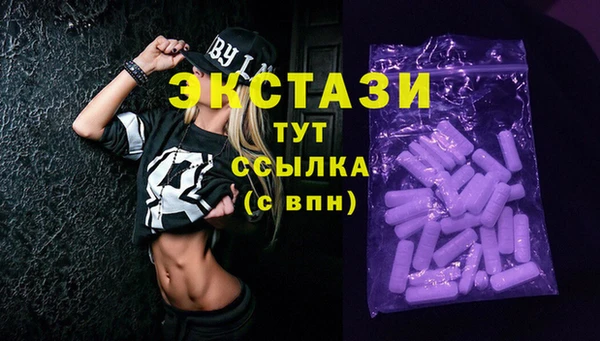 первитин Гусев