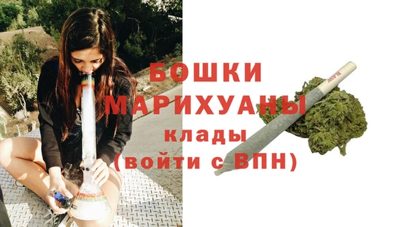 первитин Гусев