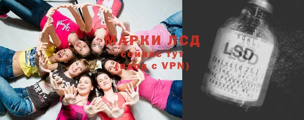 первитин Гусев