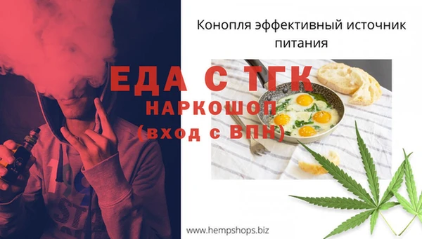 первитин Гусев